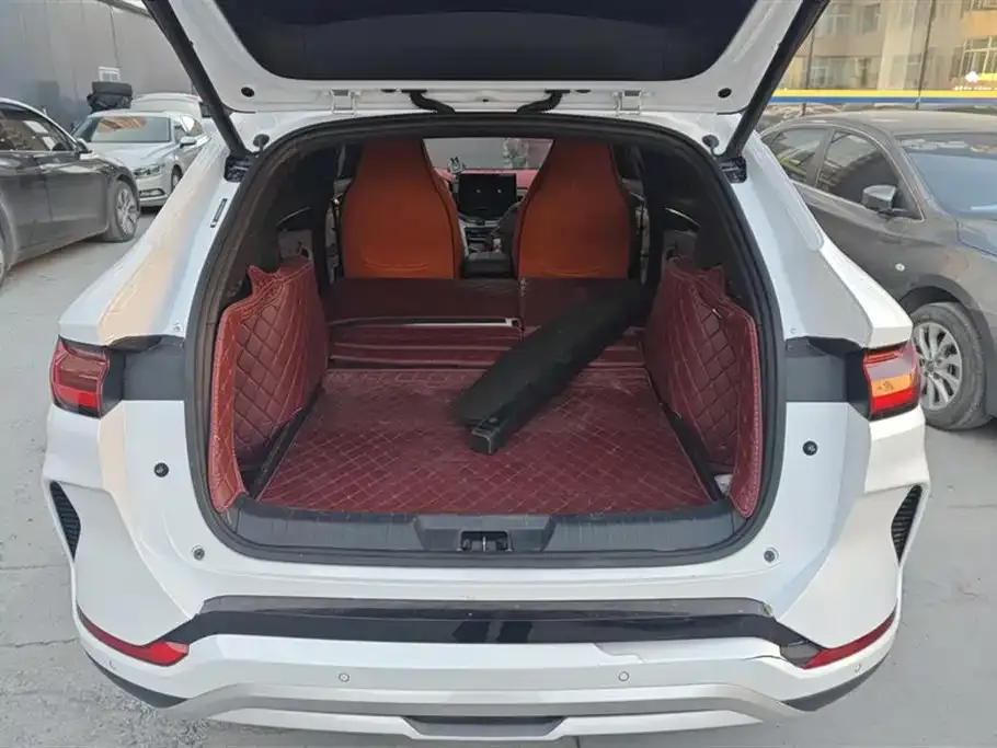 BYD PLUS New Energy 2024 из CN, фото 4