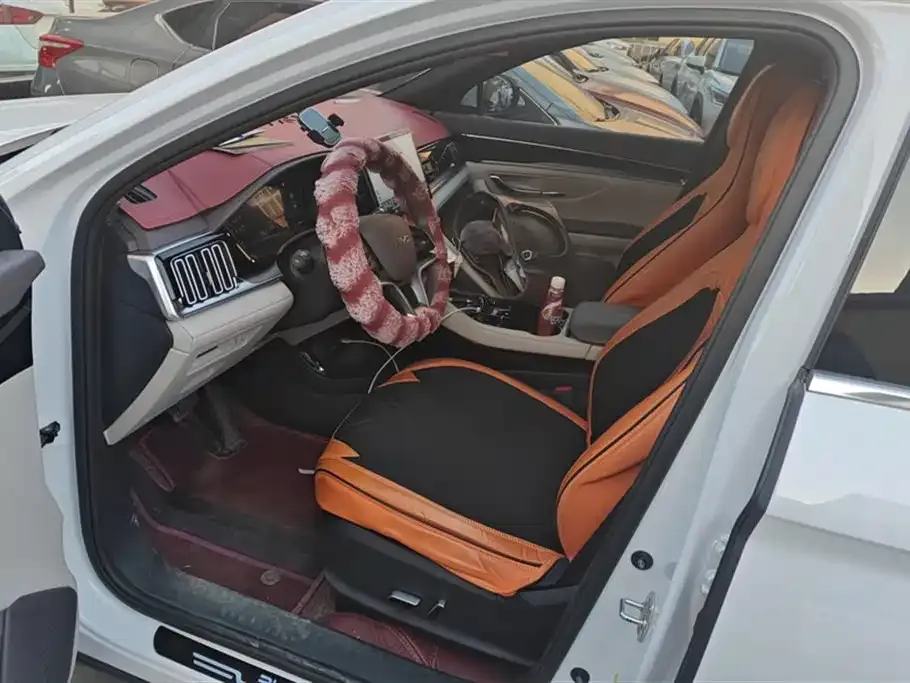 BYD PLUS New Energy 2024 из CN, фото 9