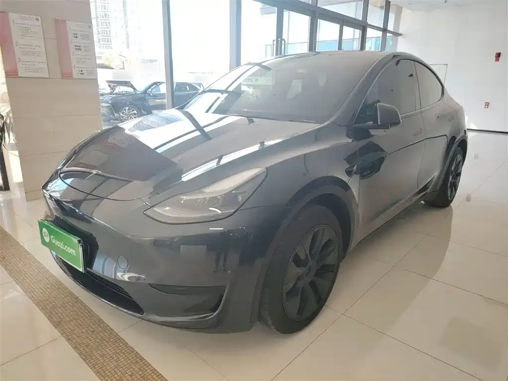 Tesla Model Y — фото 2