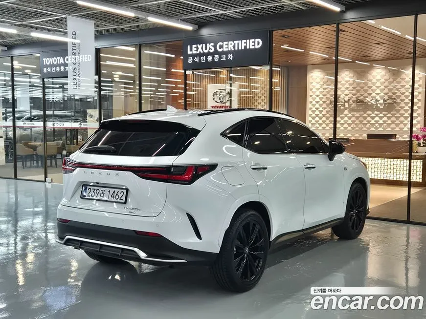 Lexus NX 2025 из KR, фото 2