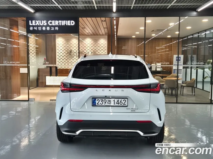 Lexus NX 2025 из KR, фото 4