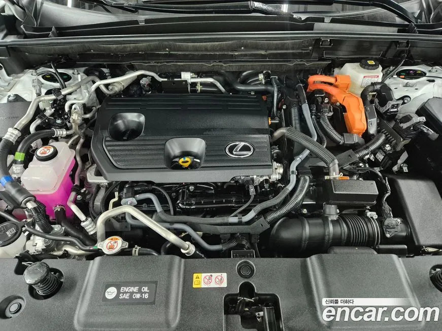 Lexus NX 2025 из KR, фото 6