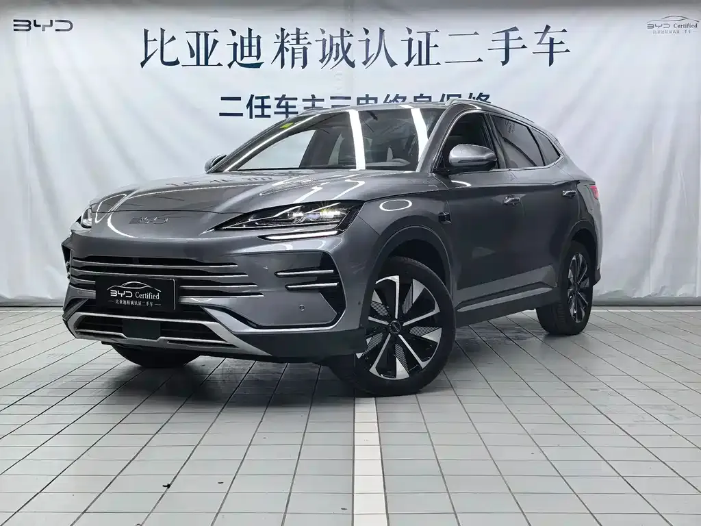 BYD PLUS New Energy — фото 1