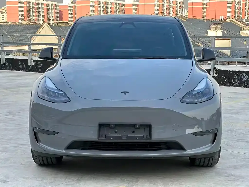Tesla Model Y — фото 2