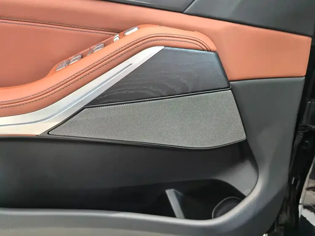 BMW X7 2021 из CN, фото 7