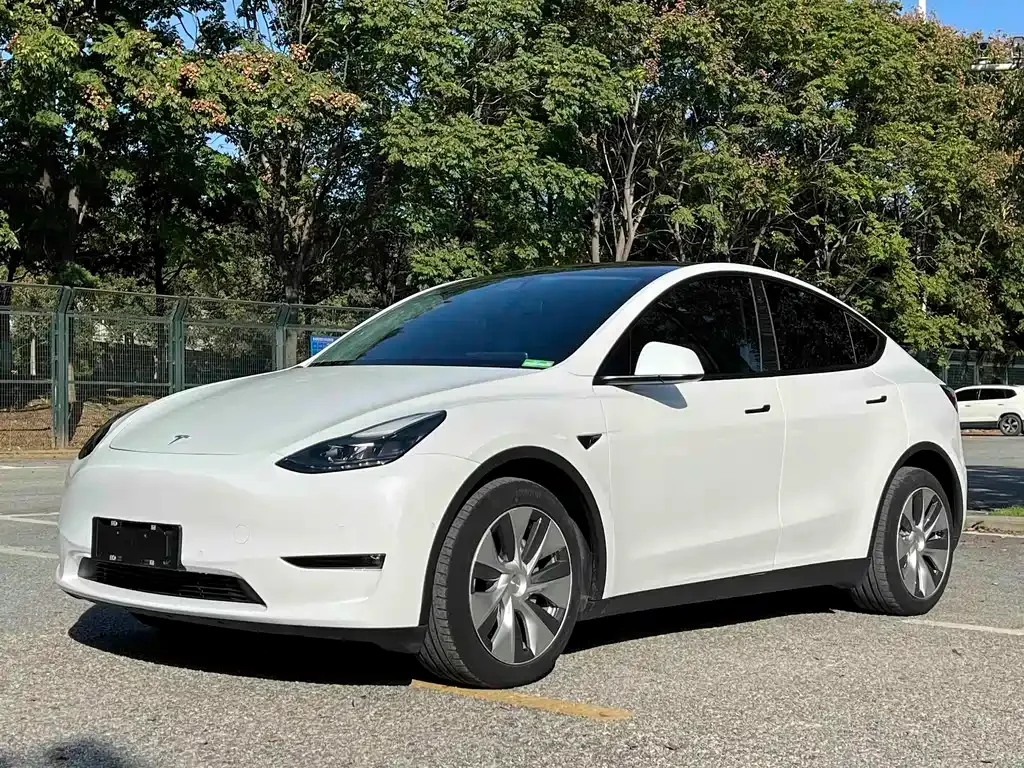Tesla Model Y — фото 1