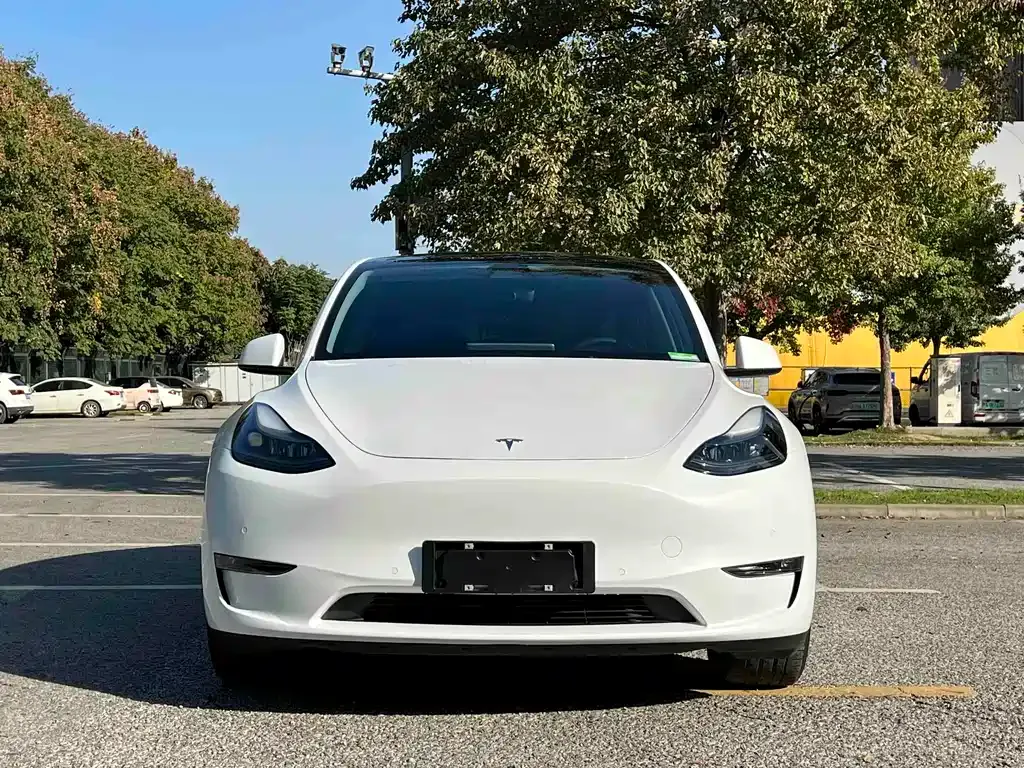 Tesla Model Y — фото 2
