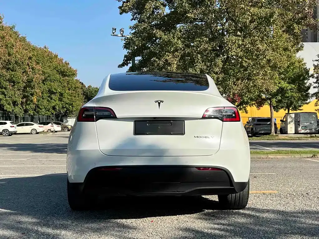 Tesla Model Y — фото 5