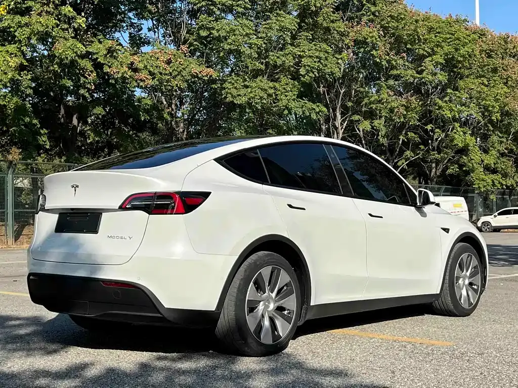 Tesla Model Y — фото 6