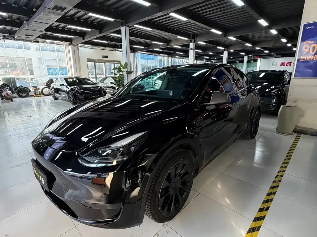 Tesla Model Y 2023 из CN, фото 1