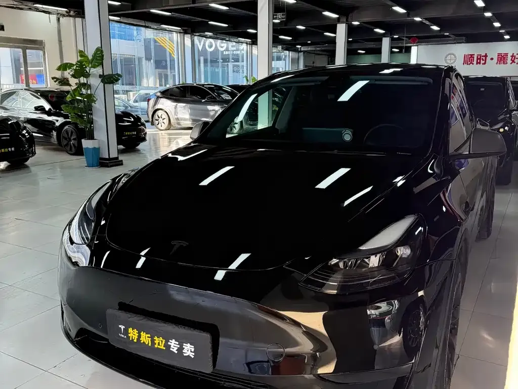 Tesla Model Y 2023 из CN, фото 3