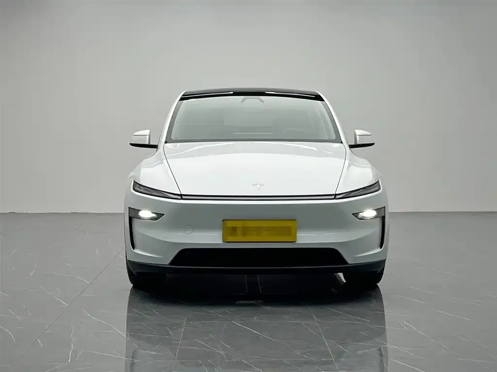 Tesla Model Y 2025 из CN, фото 2