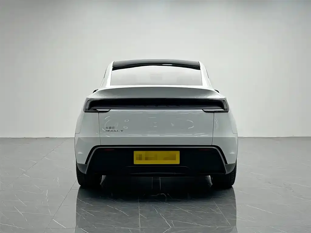 Tesla Model Y 2025 из CN, фото 5