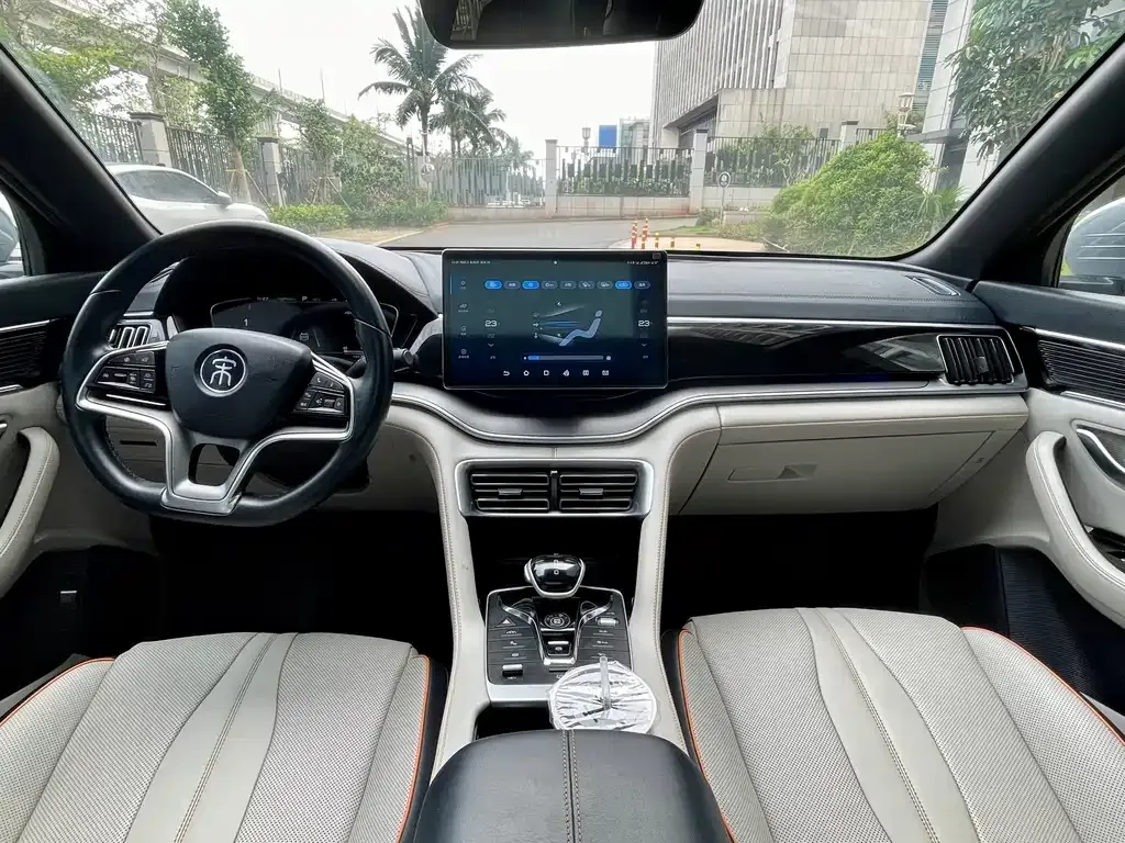 BYD PLUS New Energy — фото 6