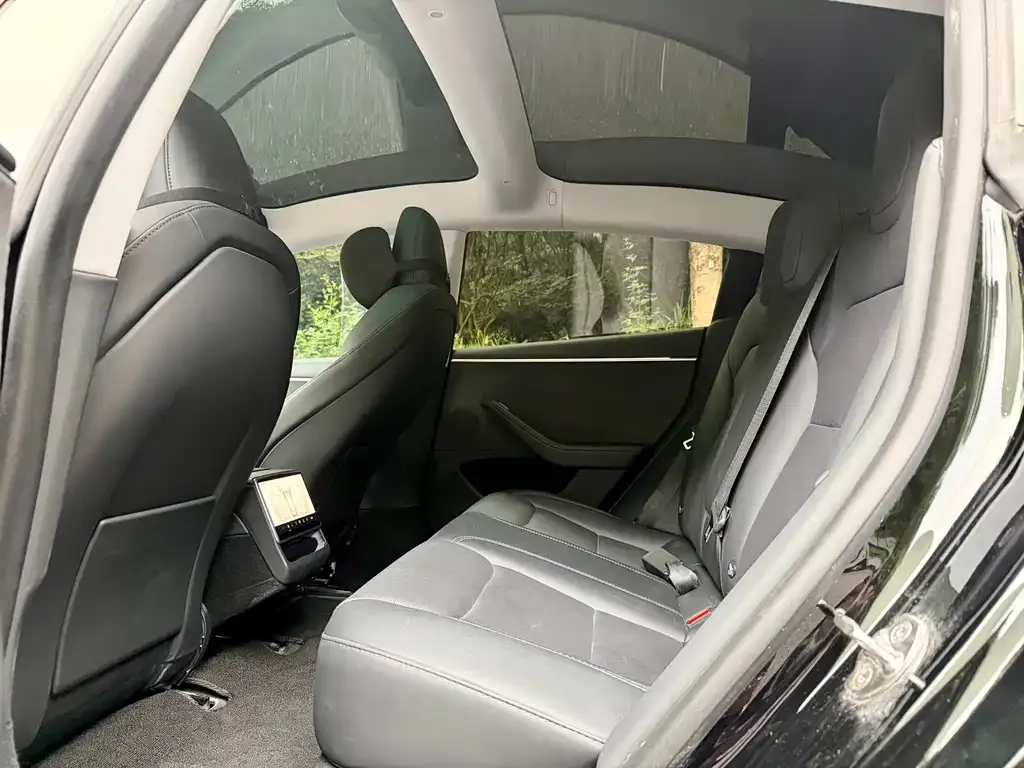 Tesla Model 3 2023 из CN, фото 10