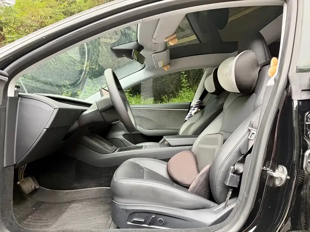 Tesla Model 3 2023 из CN, фото 9