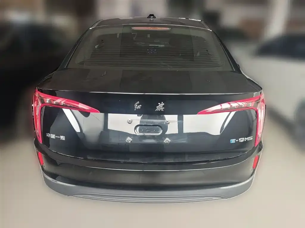 Hongqi E-QM5 2024 из CN, фото 10