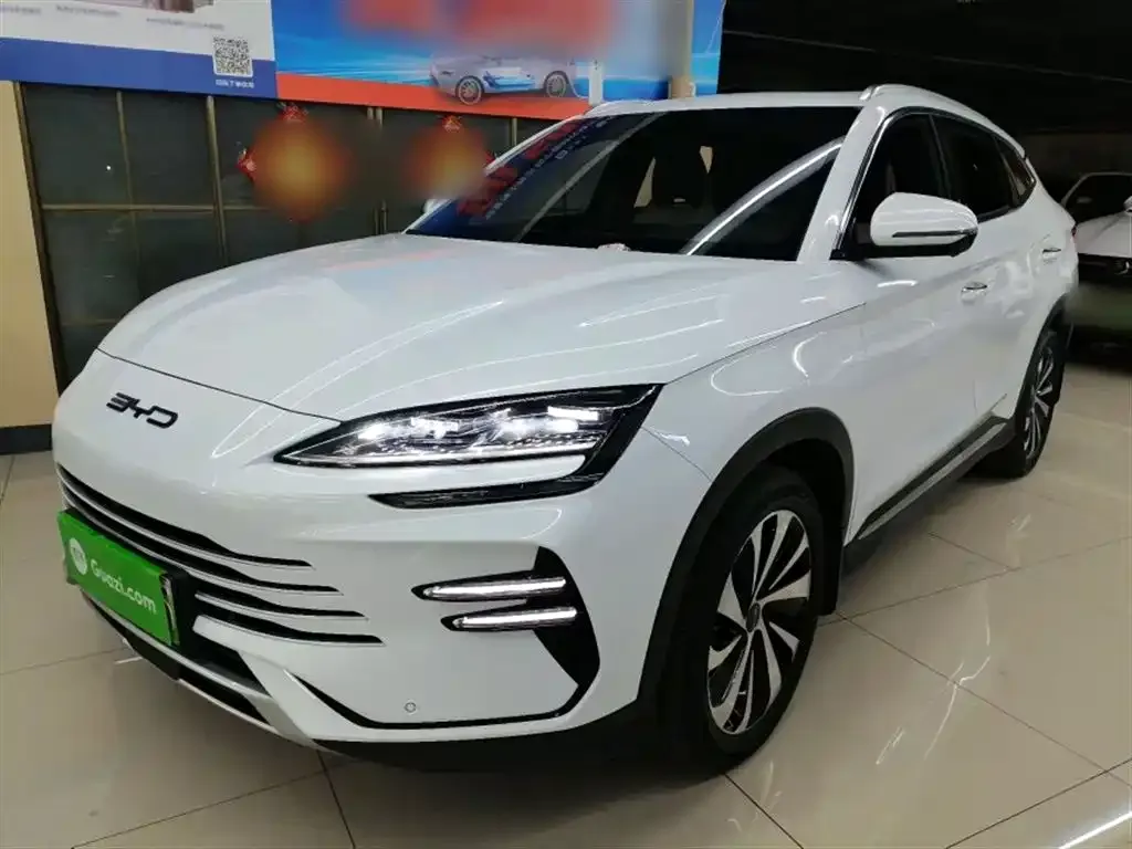 BYD PLUS New Energy 2024 из CN, фото 1
