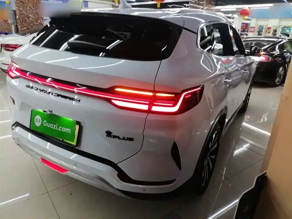 BYD PLUS New Energy 2024 из CN, фото 10