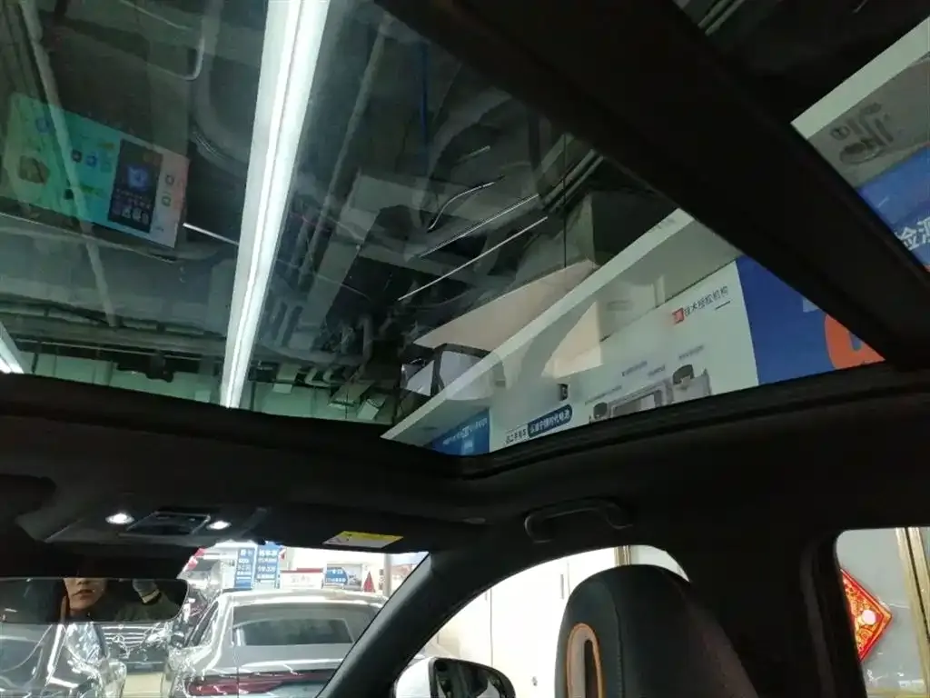 BYD PLUS New Energy 2024 из CN, фото 2