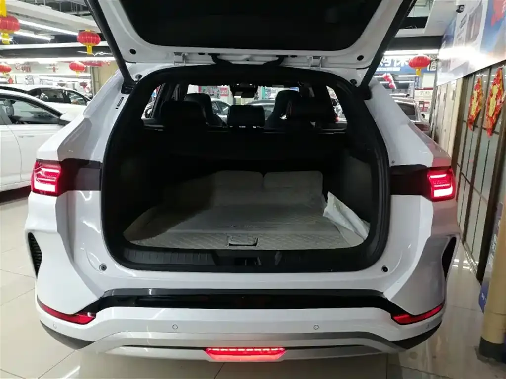 BYD PLUS New Energy 2024 из CN, фото 4