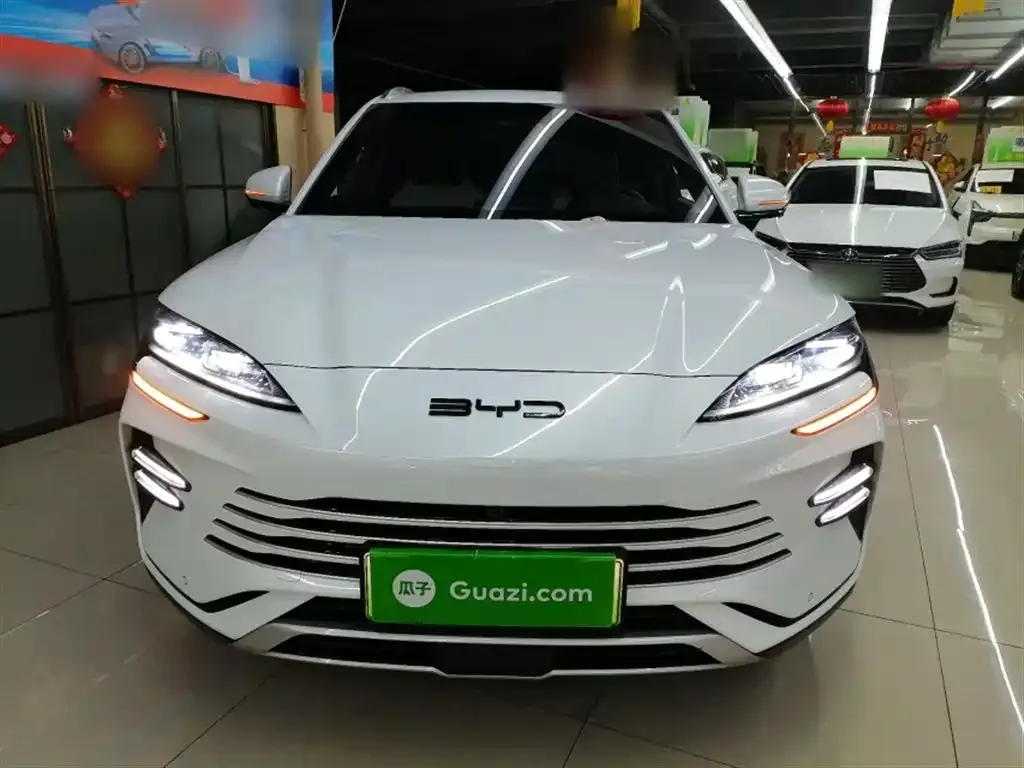 BYD PLUS New Energy 2024 из CN, фото 6