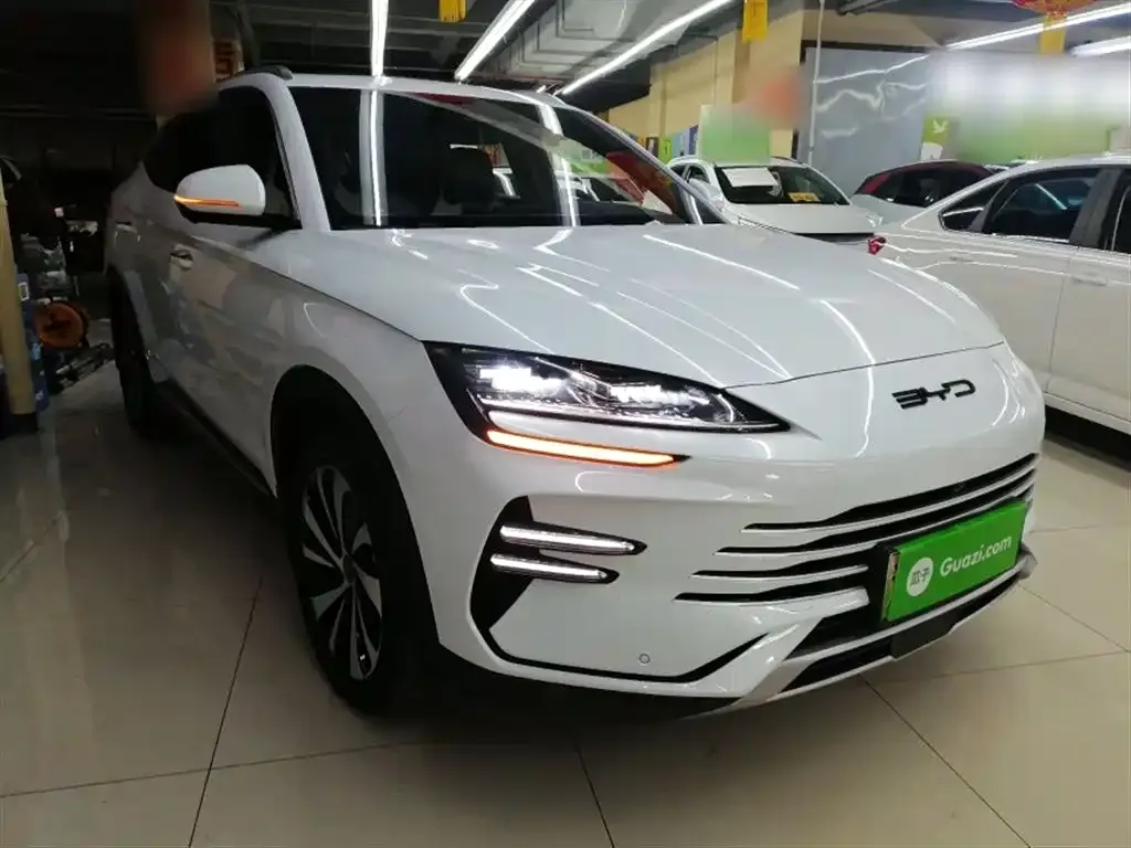 BYD PLUS New Energy 2024 из CN, фото 7