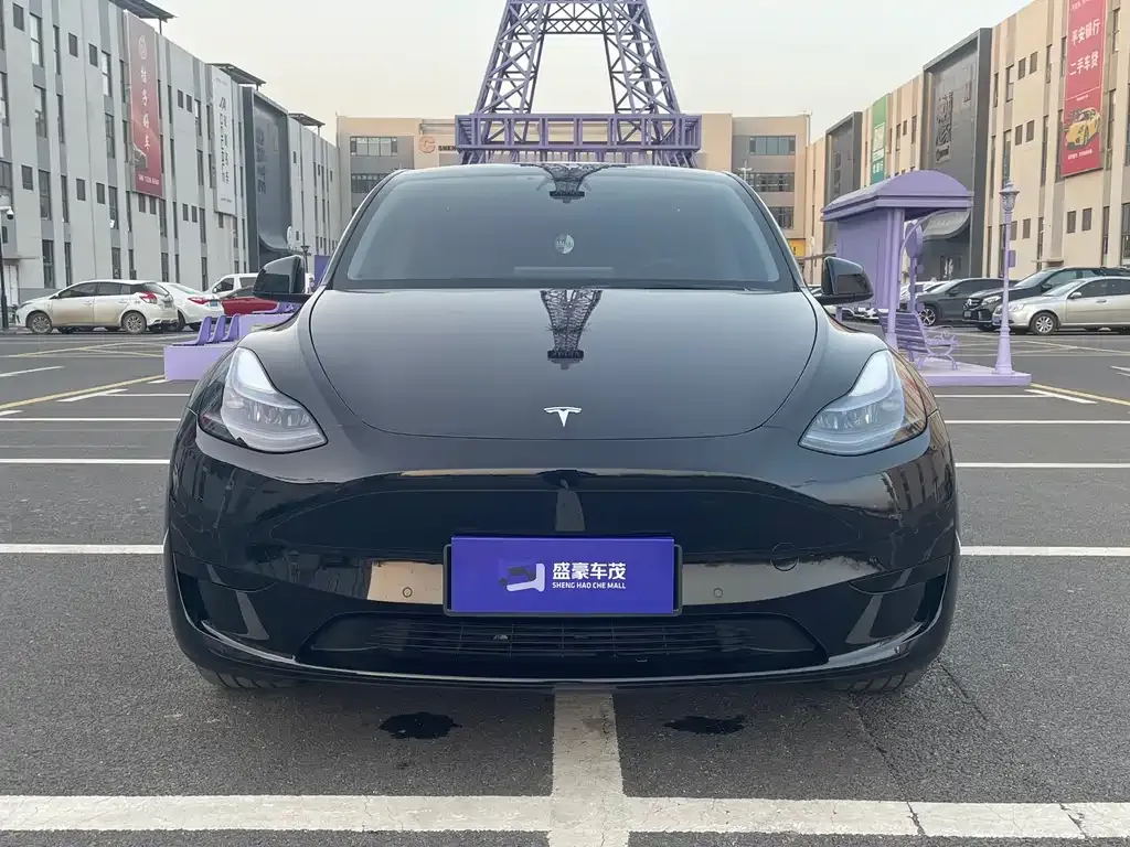 Tesla Model Y 2023 из CN, фото 2