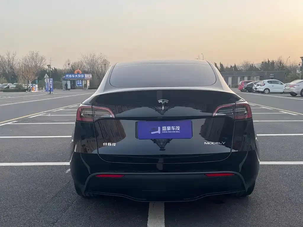 Tesla Model Y 2023 из CN, фото 8