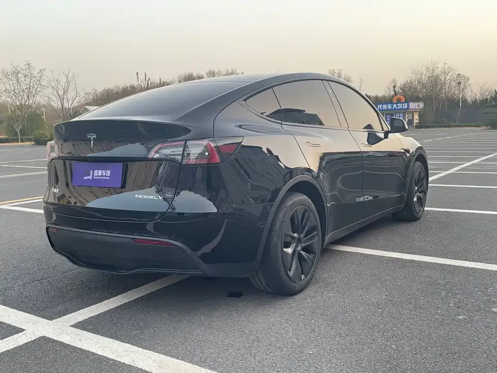 Tesla Model Y 2023 из CN, фото 9