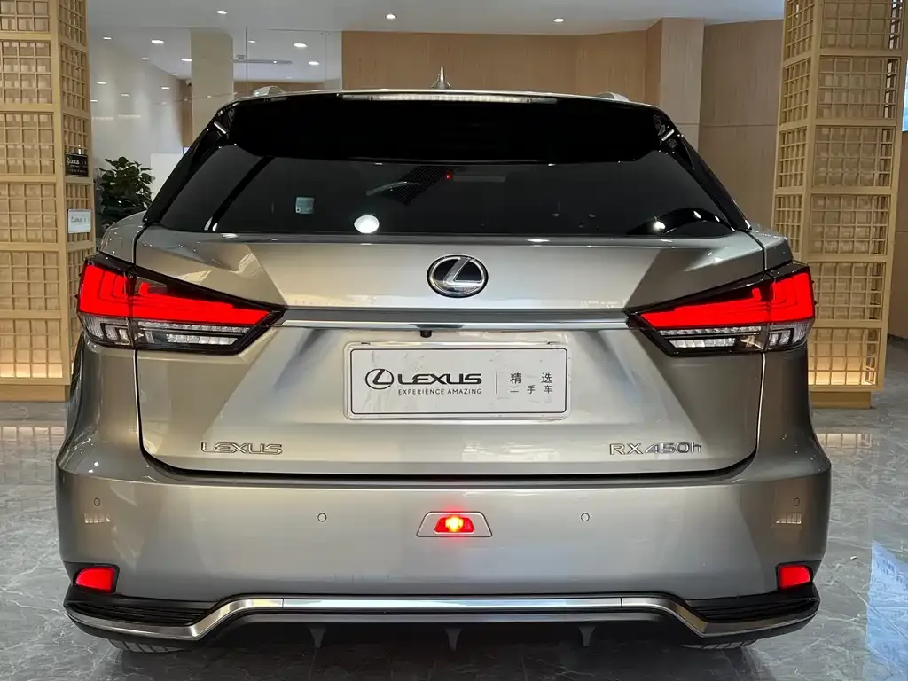Lexus RX 2021 из CN, фото 5