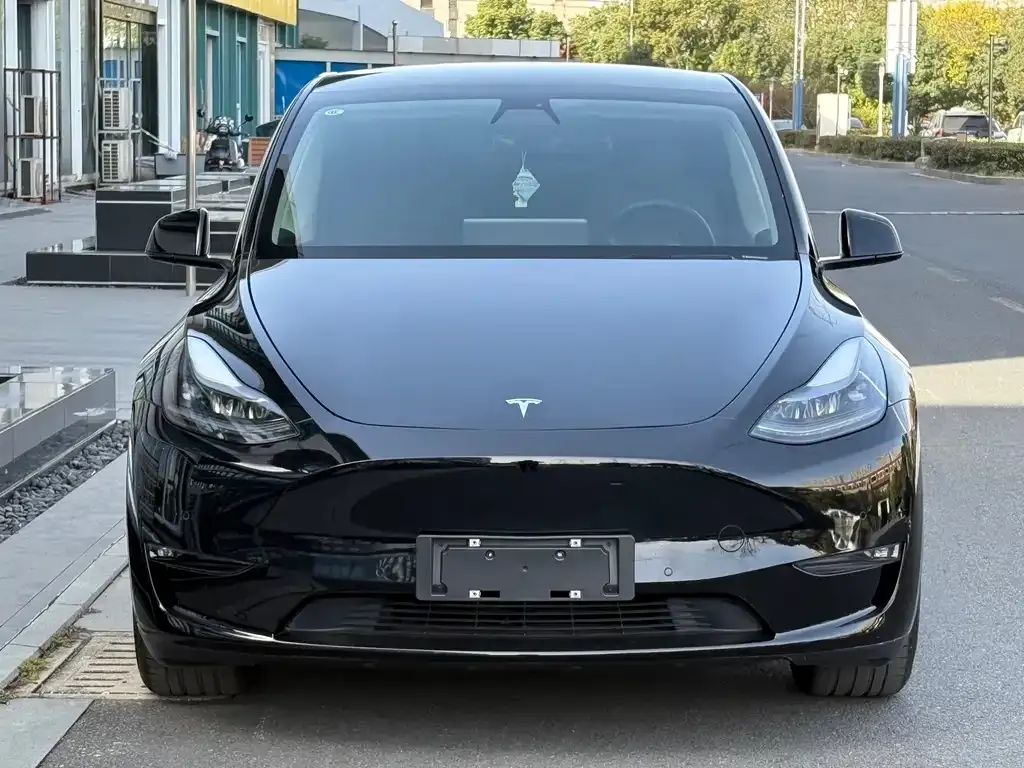 Tesla Model Y 2022 из CN, фото 1