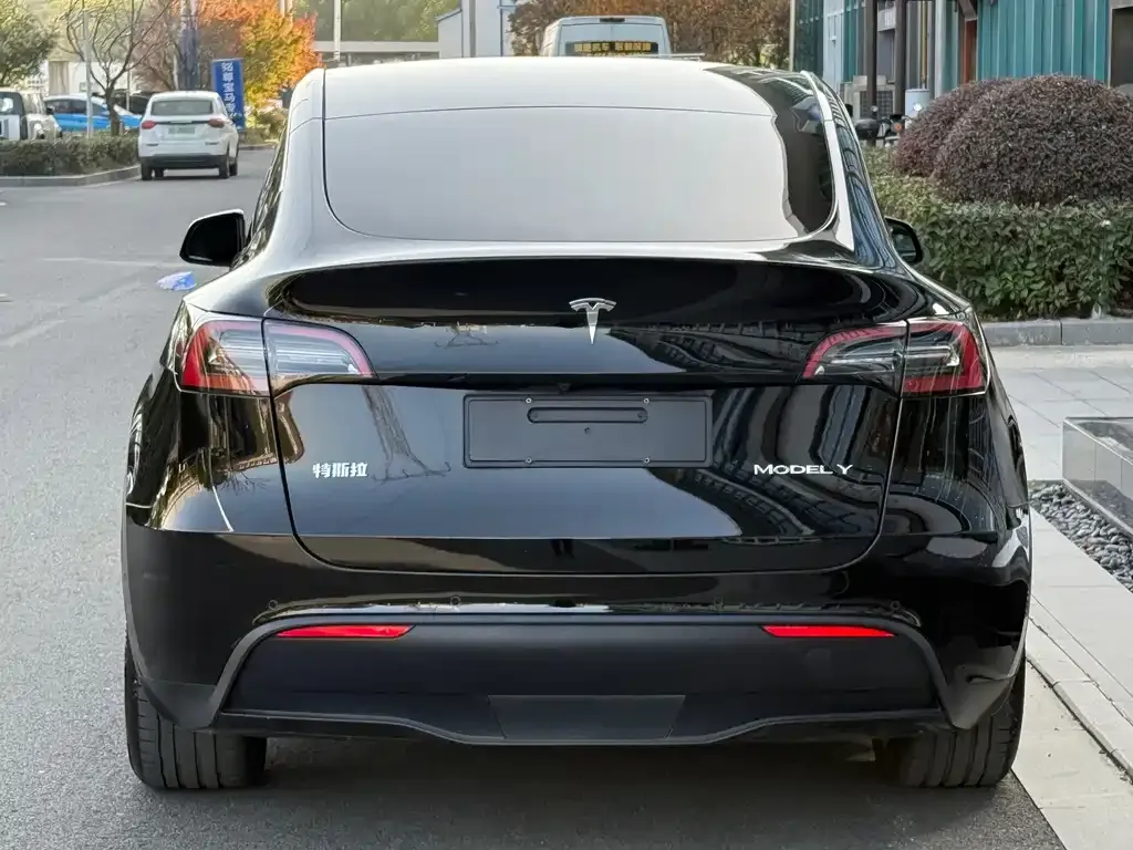 Tesla Model Y 2022 из CN, фото 4