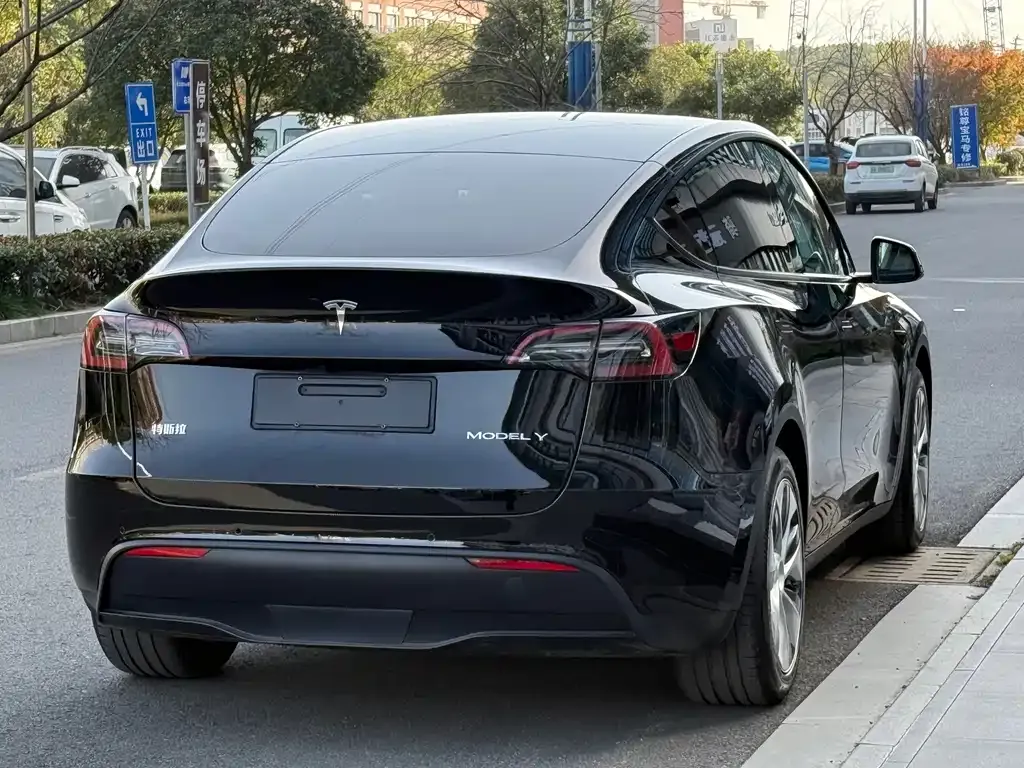 Tesla Model Y 2022 из CN, фото 6
