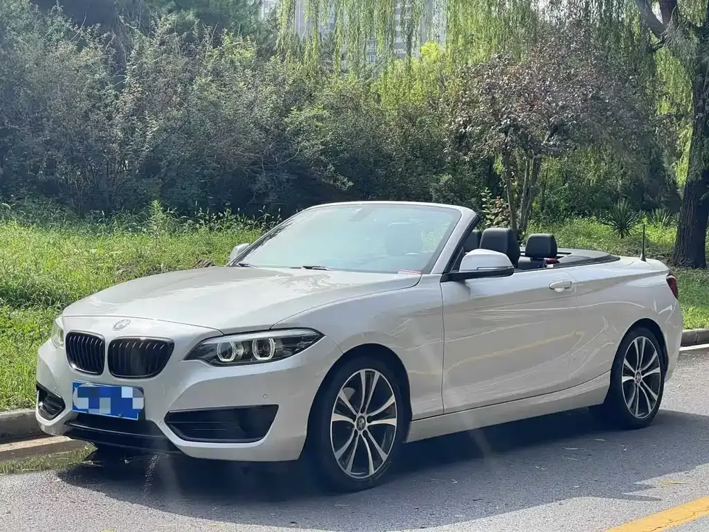 BMW 2 Series (Import) 2021 из CN, фото 1
