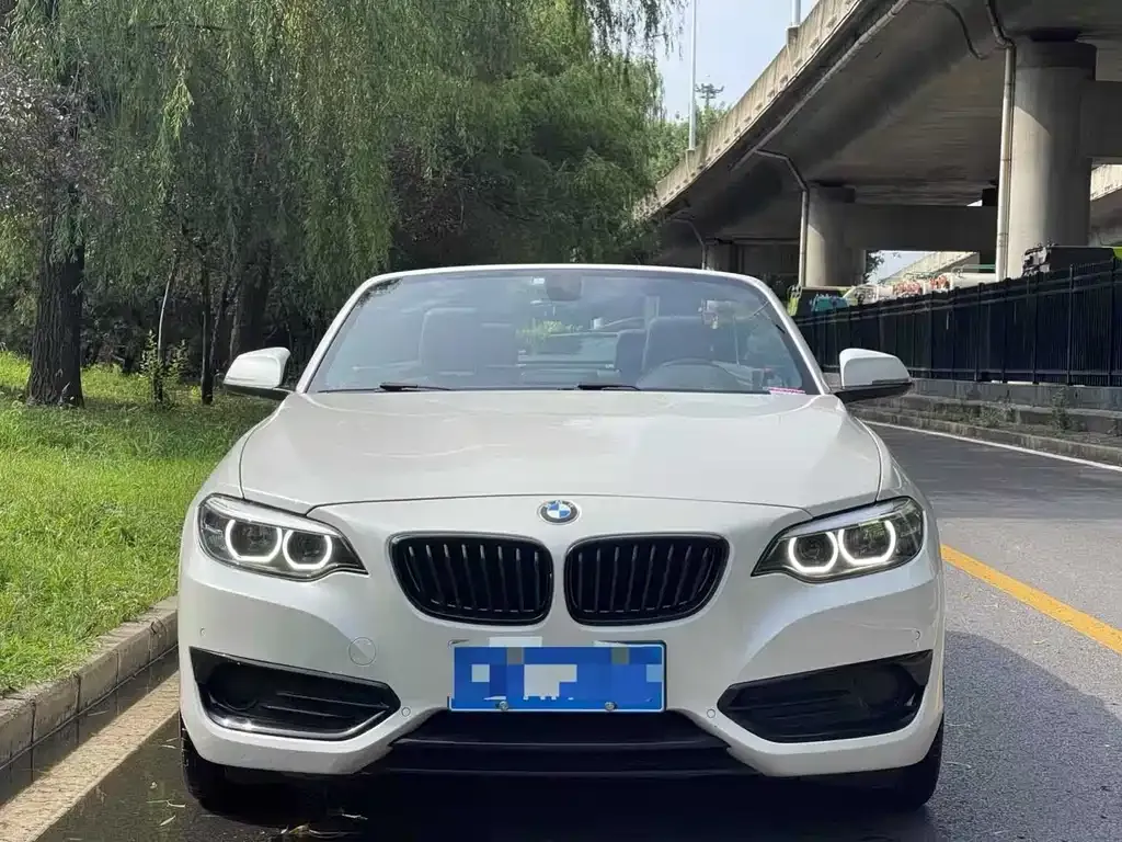 BMW 2 Series (Import) 2021 из CN, фото 2