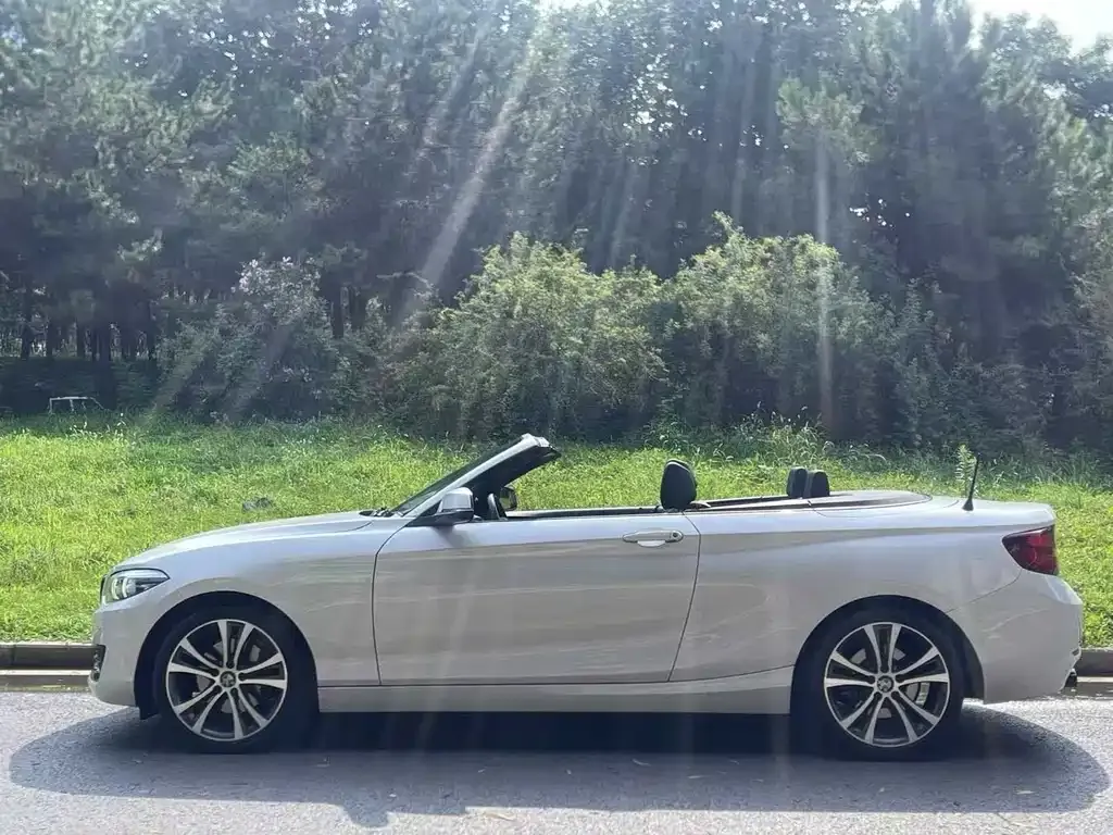 BMW 2 Series (Import) 2021 из CN, фото 3