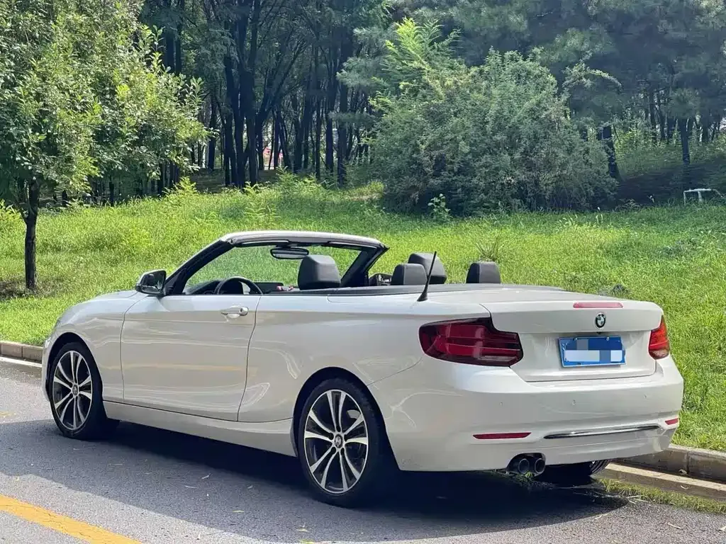 BMW 2 Series (Import) 2021 из CN, фото 4
