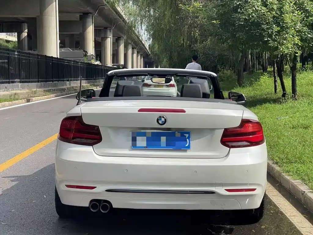 BMW 2 Series (Import) 2021 из CN, фото 5