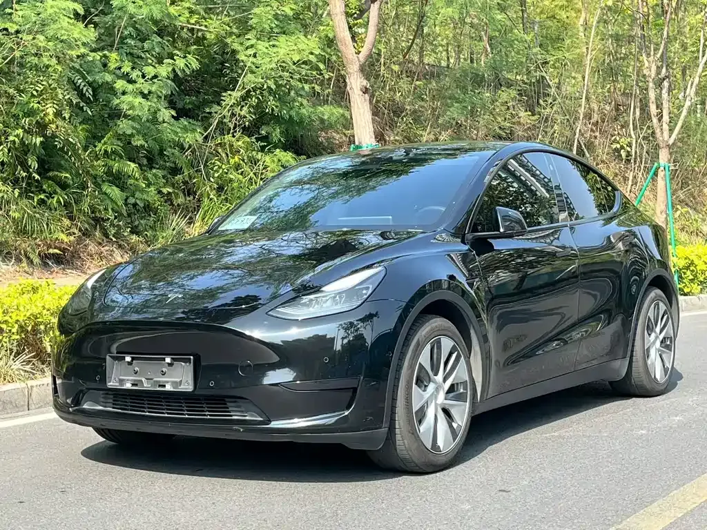 Tesla Model Y 2022 из CN, фото 1