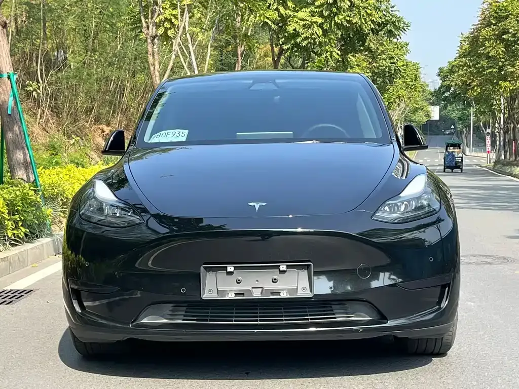 Tesla Model Y 2022 из CN, фото 2