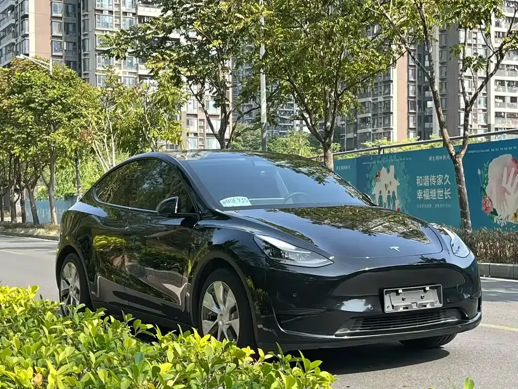 Tesla Model Y 2022 из CN, фото 3