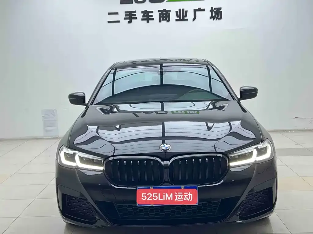 BMW 5 Series 2023 из CN, фото 2