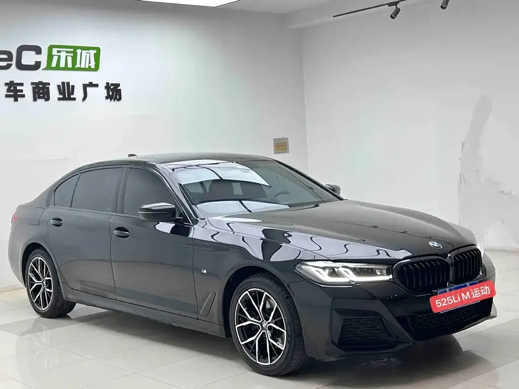 BMW 5 Series 2023 из CN, фото 3
