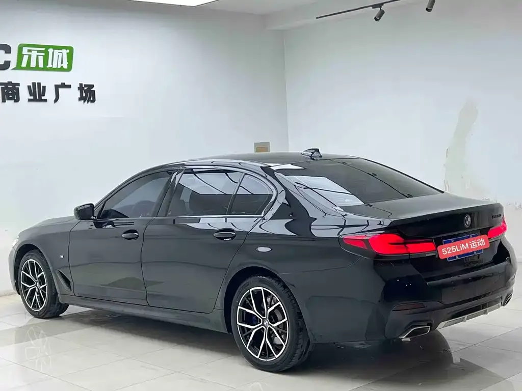 BMW 5 Series 2023 из CN, фото 4