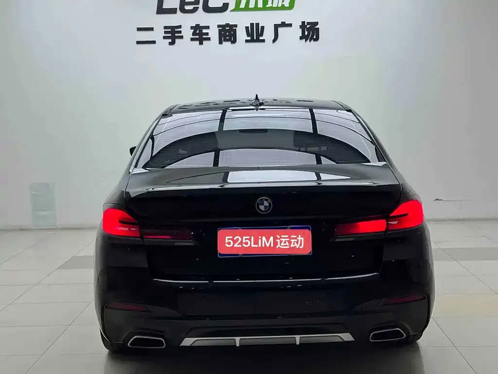 BMW 5 Series 2023 из CN, фото 5