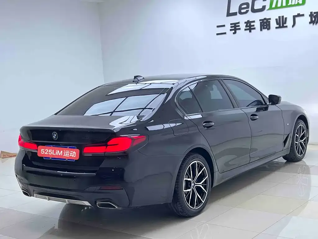 BMW 5 Series 2023 из CN, фото 6