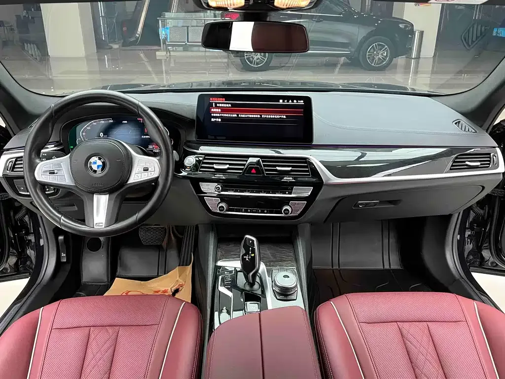 BMW 5 Series 2023 из CN, фото 7