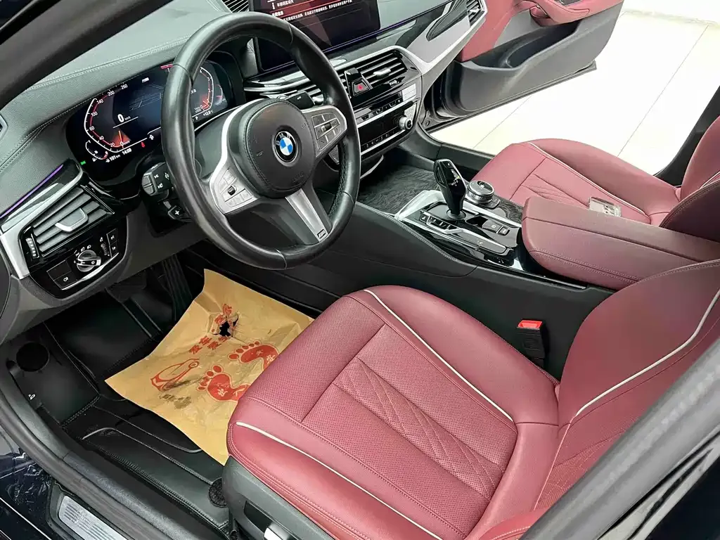 BMW 5 Series 2023 из CN, фото 8
