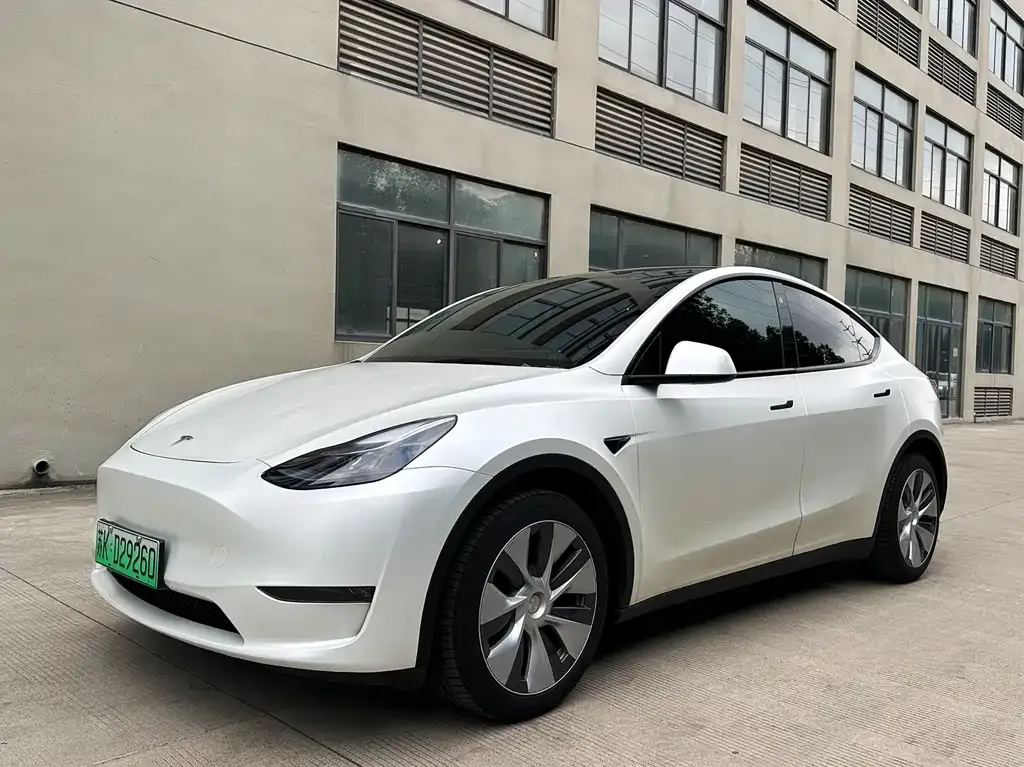 Tesla Model Y 2021 из CN, фото 1